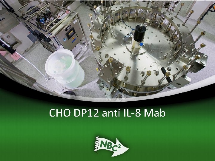 CHO DP 12 anti IL-8 Mab 