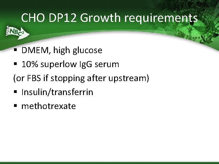 CHO DP 12 Growth requirements § DMEM, high glucose § 10% superlow Ig. G