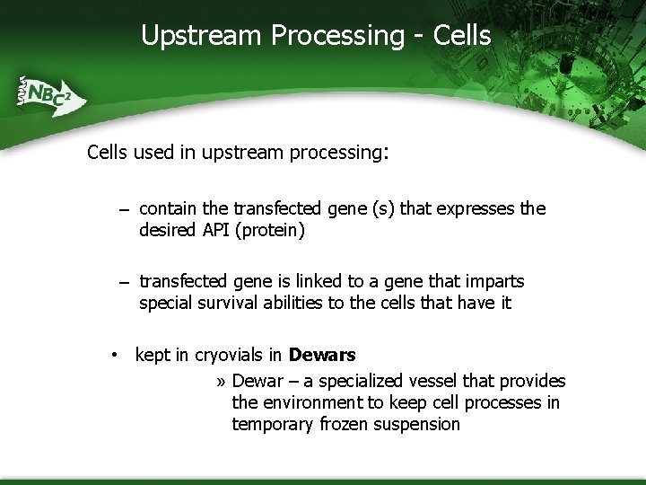 Upstream Processing - Cells used in upstream processing: – contain the transfected gene (s)