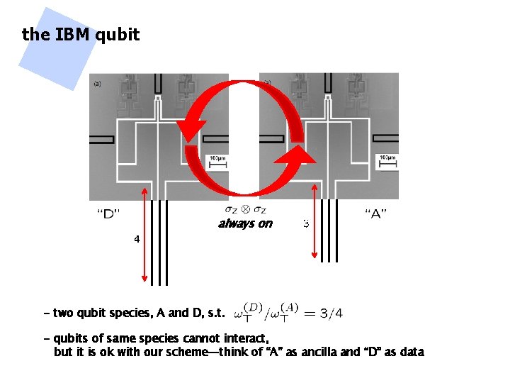 the IBM qubit always on - two qubit species, A and D, s. t.