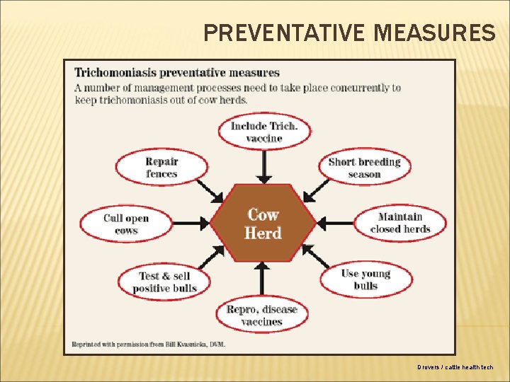 PREVENTATIVE MEASURES Drovers / cattle health tech 