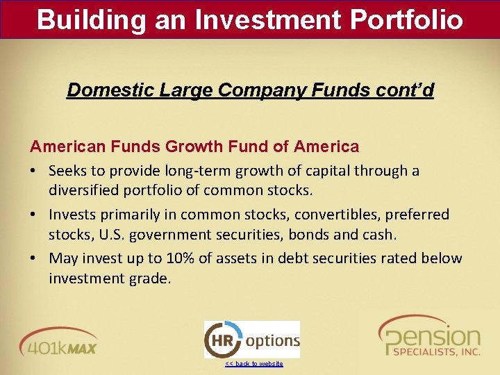 Building an Investment Portfolio Domestic Large Company Funds cont’d American Funds Growth Fund of