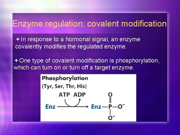 Enzyme regulation: covalent modification In response to a hormonal signal, an enzyme covalently modifies