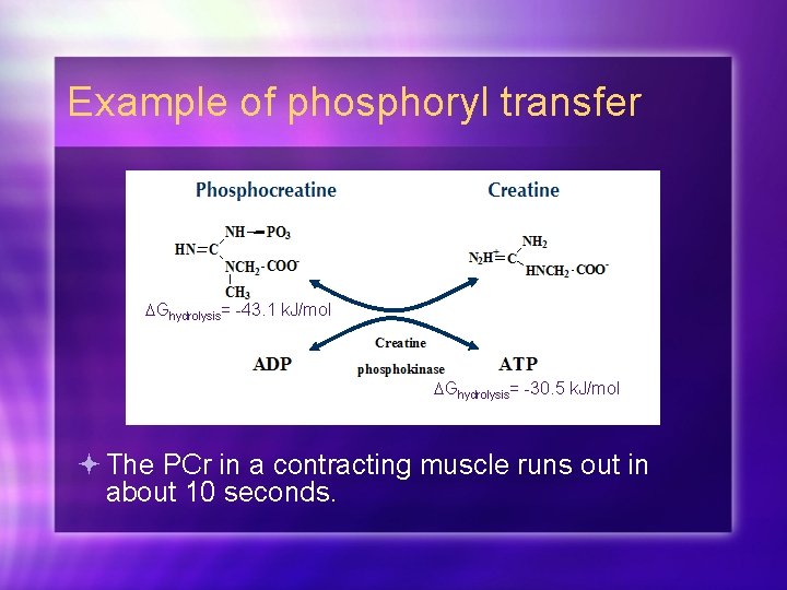 Example of phosphoryl transfer Ghydrolysis= -43. 1 k. J/mol Ghydrolysis= -30. 5 k. J/mol