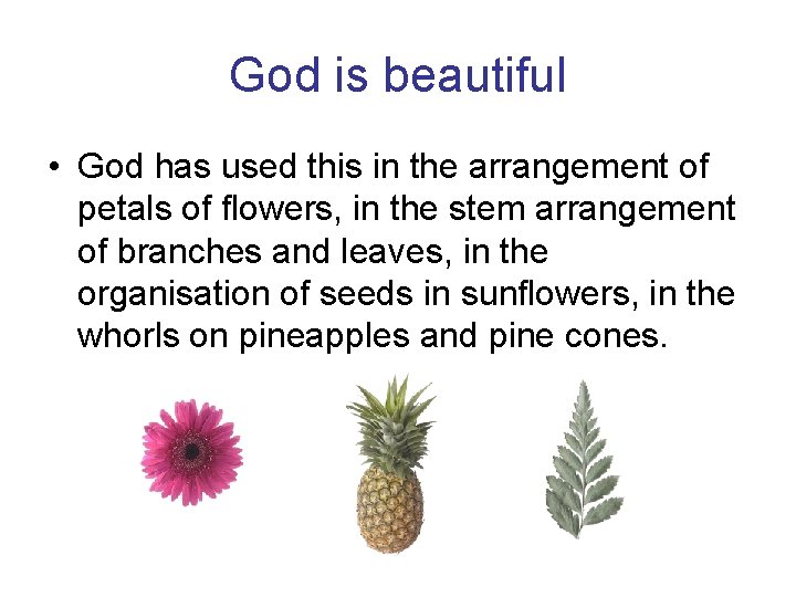 God is beautiful • God has used this in the arrangement of petals of