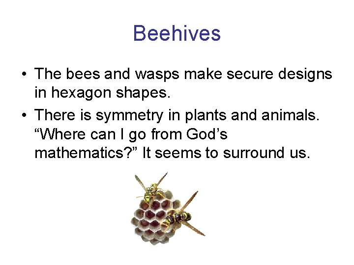 Beehives • The bees and wasps make secure designs in hexagon shapes. • There