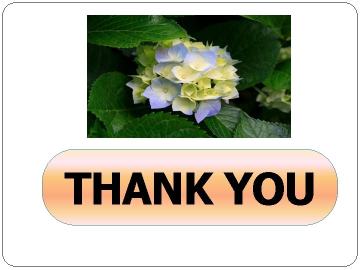 THANK YOU 
