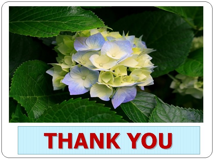 Lucknow IAP and THANK YOU 