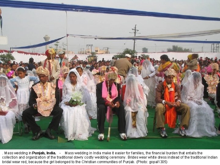 . Mass wedding in Punjab, India. - Mass wedding in India make it easier