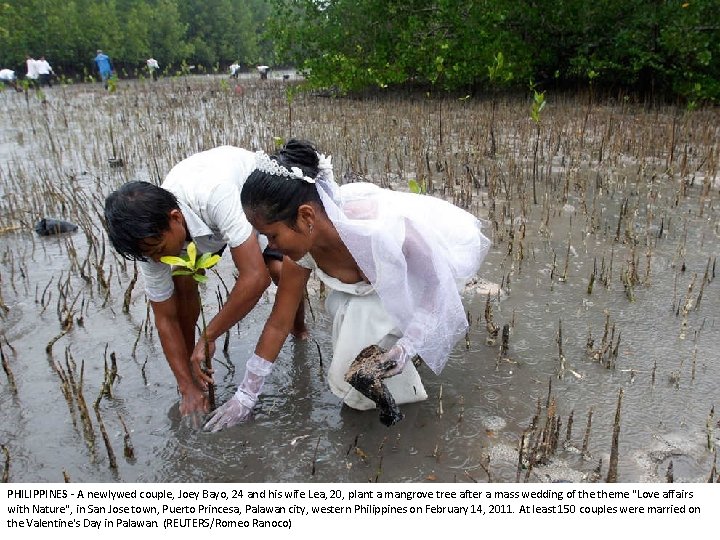 PHILIPPINES - A newlywed couple, Joey Bayo, 24 and his wife Lea, 20, plant