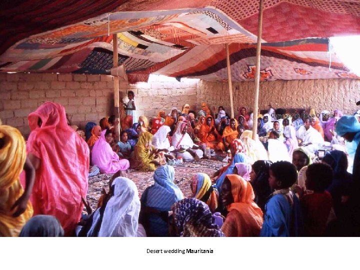 Desert wedding Mauritania 