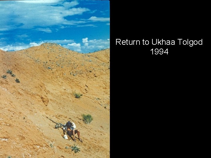 Return to Ukhaa Tolgod 1994 