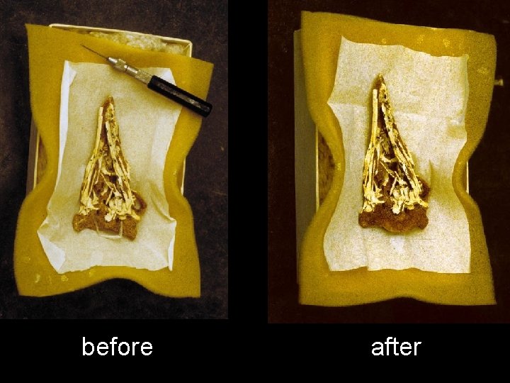 before after 