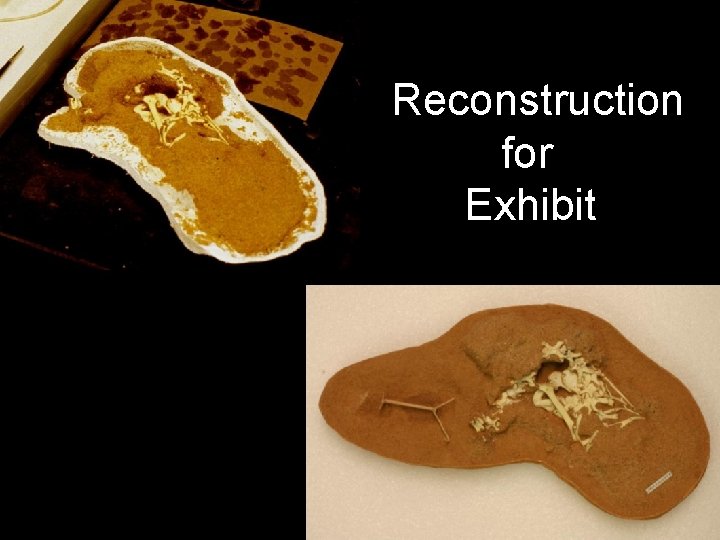 Reconstruction for Exhibit For exhibit 