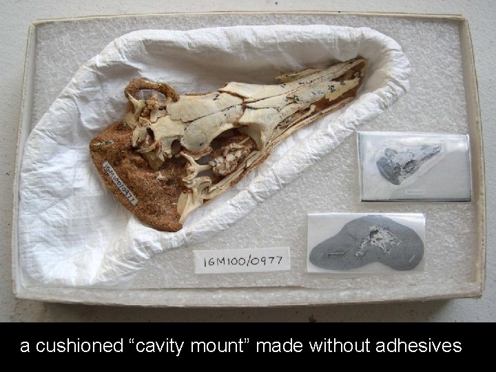 a cushioned “cavity mount” made without adhesives 