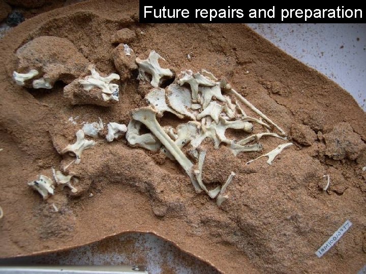 Future repairs and preparation 