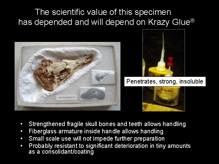 The scientific value of this specimen has depended and will depend on Krazy Glue®