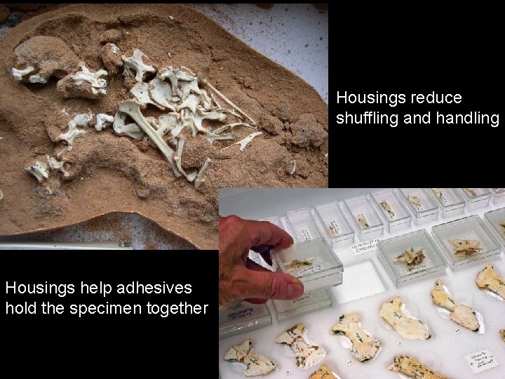 Housings reduce shuffling and handling Housings help adhesives hold the specimen together 