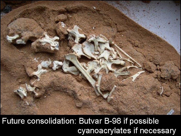 Future consolidation: Butvar B-98 if possible cyanoacrylates if necessary 