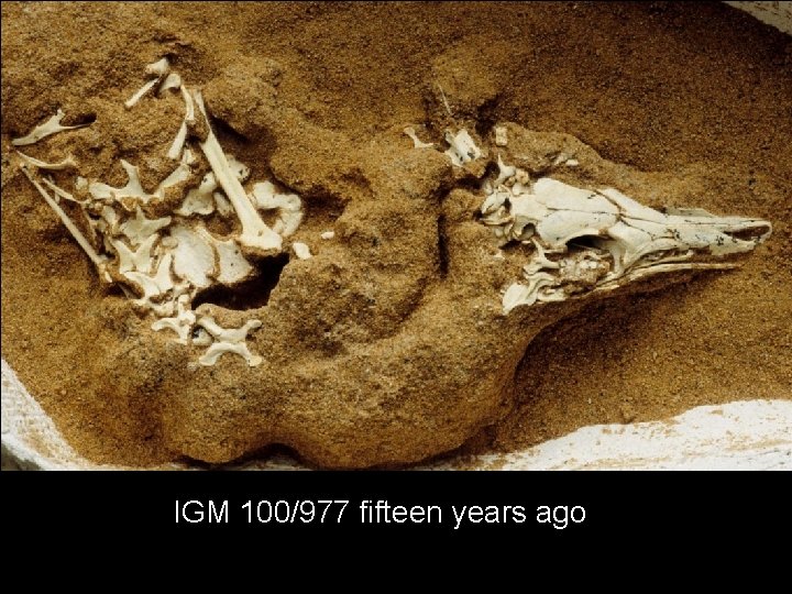 IGM 100/977 fifteen years ago 