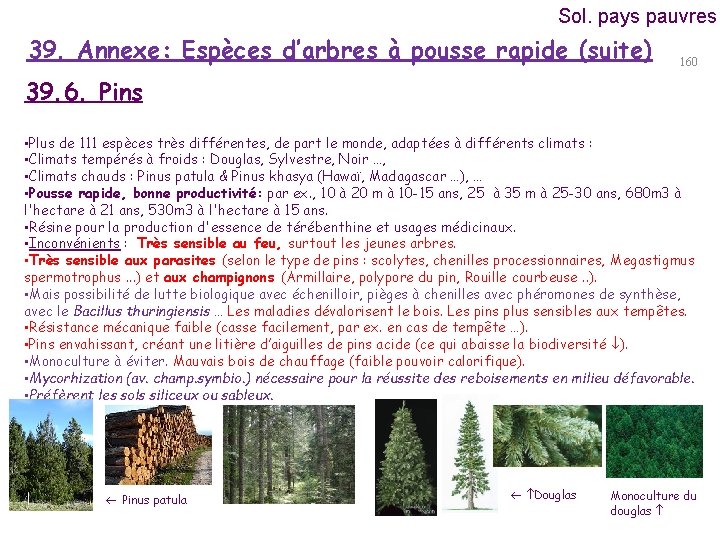 Sol. pays pauvres 39. Annexe: Espèces d’arbres à pousse rapide (suite) 160 39. 6.