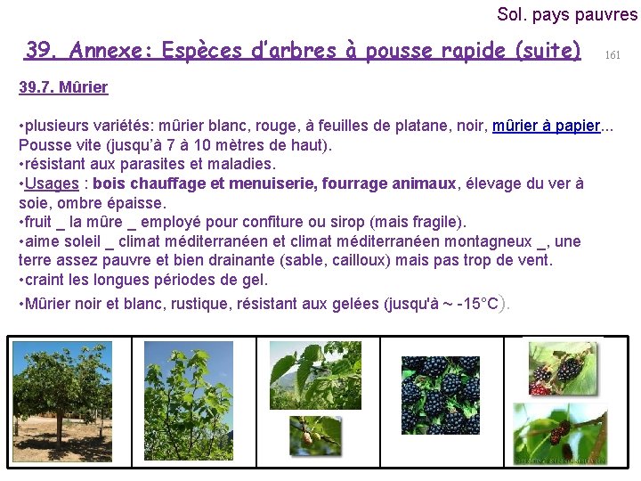 Sol. pays pauvres 39. Annexe: Espèces d’arbres à pousse rapide (suite) 161 39. 7.