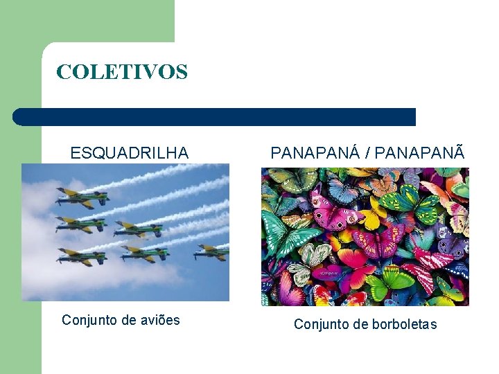 COLETIVOS ESQUADRILHA Conjunto de aviões PANAPANÁ / PANAPANÃ Conjunto de borboletas 