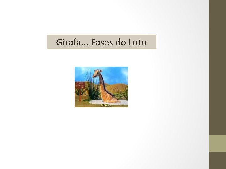 Girafa. . . Fases do Luto 