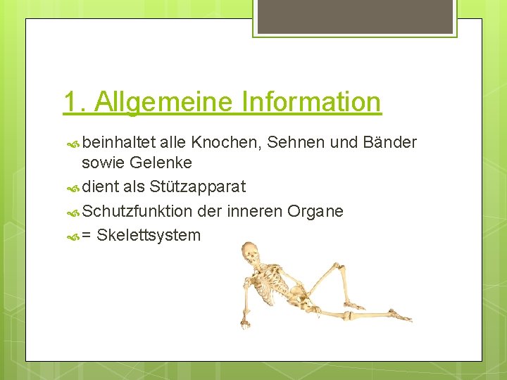 1. Allgemeine Information beinhaltet alle Knochen, Sehnen und Bänder sowie Gelenke dient als Stützapparat