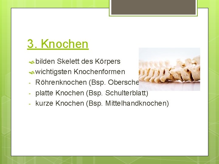 3. Knochen bilden Skelett des Körpers wichtigsten Knochenformen - Röhrenknochen (Bsp. Oberschenkelknochen) - platte