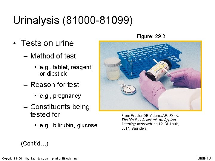 Urinalysis (81000 -81099) • Tests on urine Figure: 29. 3 – Method of test