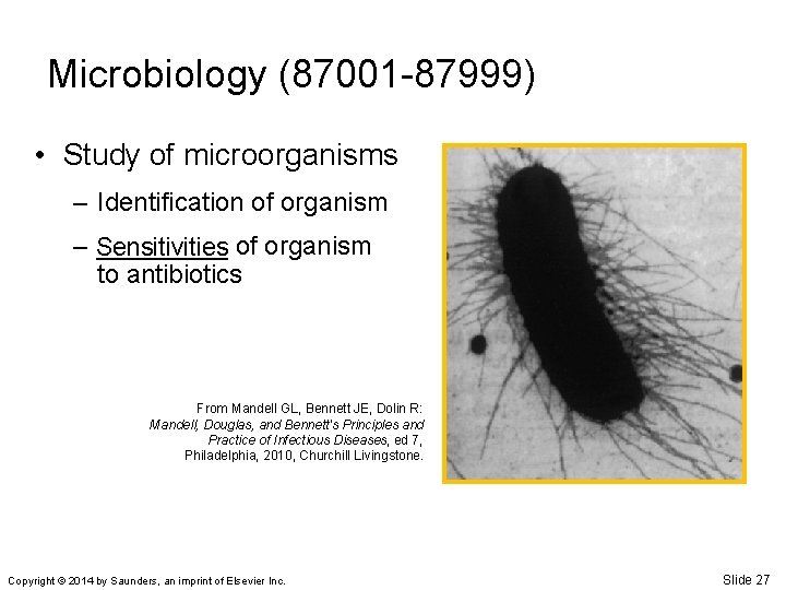 Microbiology (87001 -87999) • Study of microorganisms – Identification of organism – Sensitivities _____