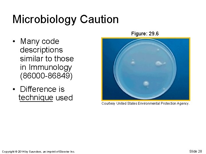 Microbiology Caution Figure: 29. 6 • Many code descriptions similar to those in Immunology