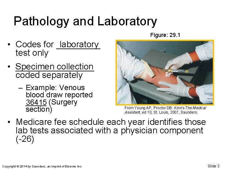 Pathology and Laboratory Figure: 29. 1 laboratory • Codes for _____ test only collection