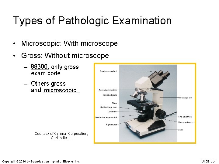 Types of Pathologic Examination • Microscopic: With microscope • Gross: Without microscope – 88300