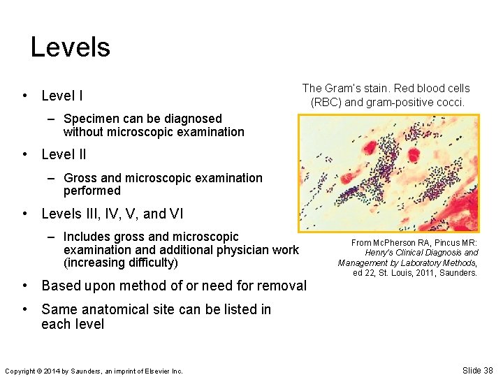 Levels • Level I The Gram’s stain. Red blood cells (RBC) and gram-positive cocci.