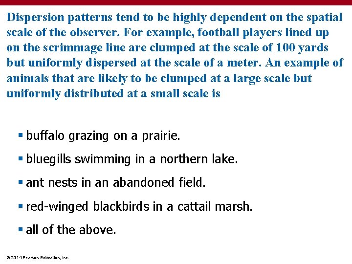 Dispersion patterns tend to be highly dependent on the spatial scale of the observer.