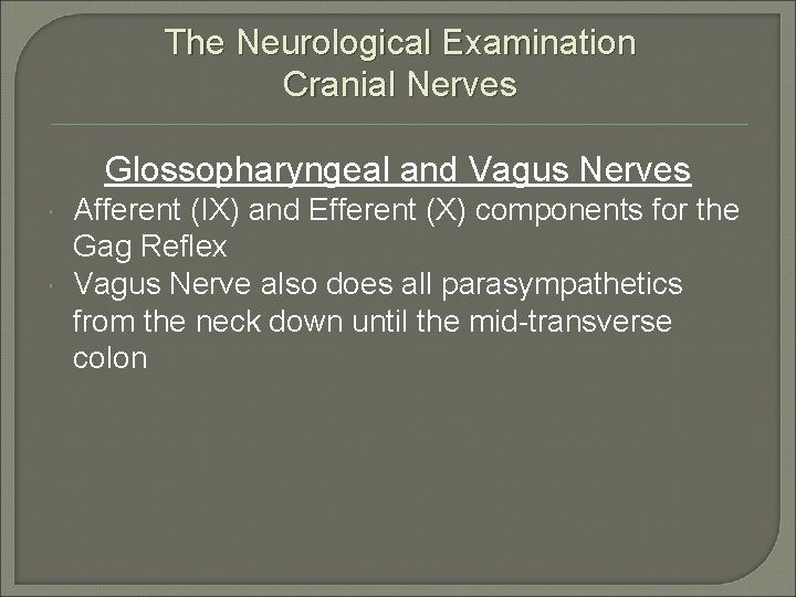 The Neurological Examination Cranial Nerves Glossopharyngeal and Vagus Nerves Afferent (IX) and Efferent (X)