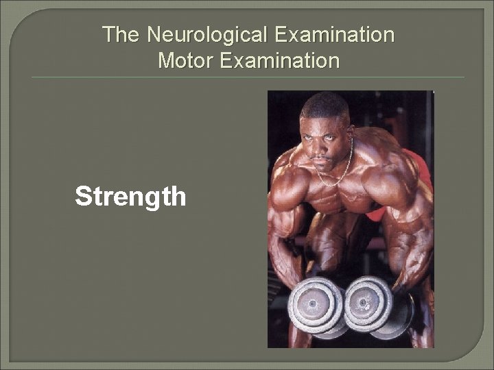 The Neurological Examination Motor Examination Strength 