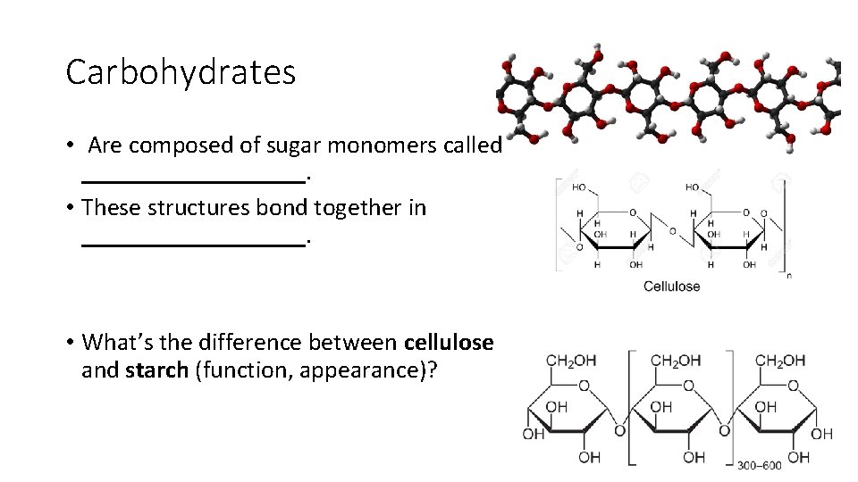 Carbohydrates • Are composed of sugar monomers called _________. • These structures bond together