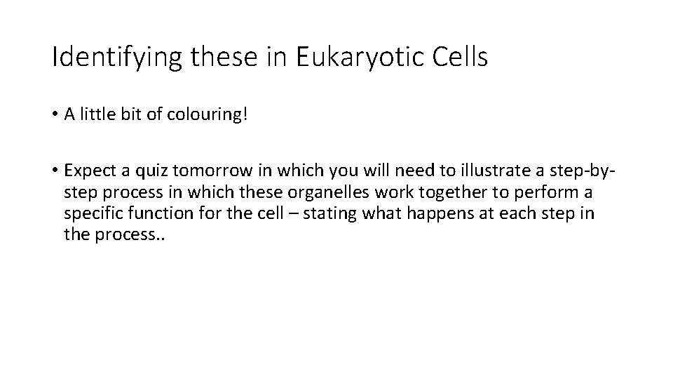 Identifying these in Eukaryotic Cells • A little bit of colouring! • Expect a