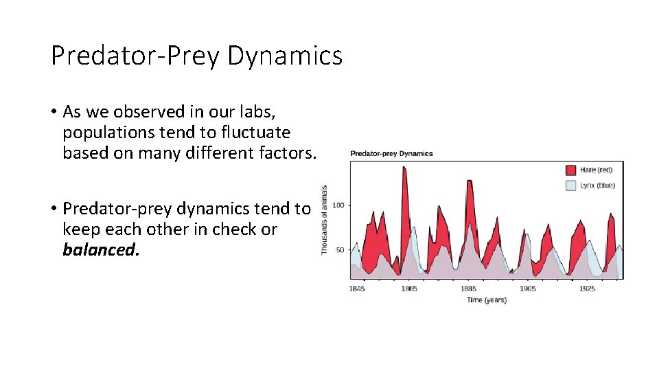 Predator-Prey Dynamics • As we observed in our labs, populations tend to fluctuate based