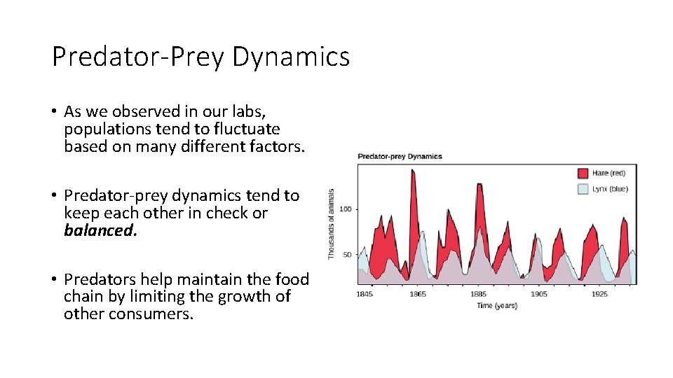 Predator-Prey Dynamics • As we observed in our labs, populations tend to fluctuate based