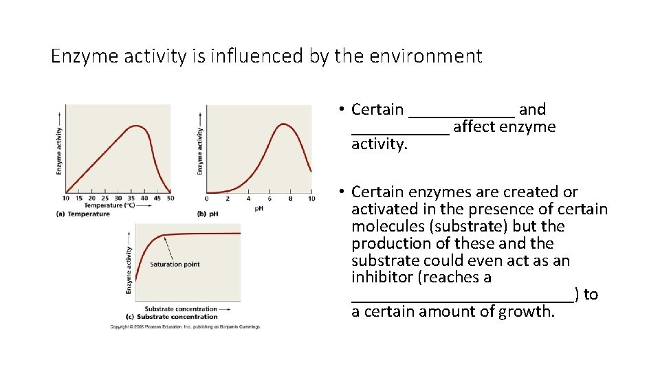 Enzyme activity is influenced by the environment • Certain ______ and ______ affect enzyme