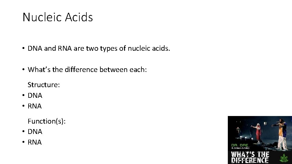 Nucleic Acids • DNA and RNA are two types of nucleic acids. • What’s