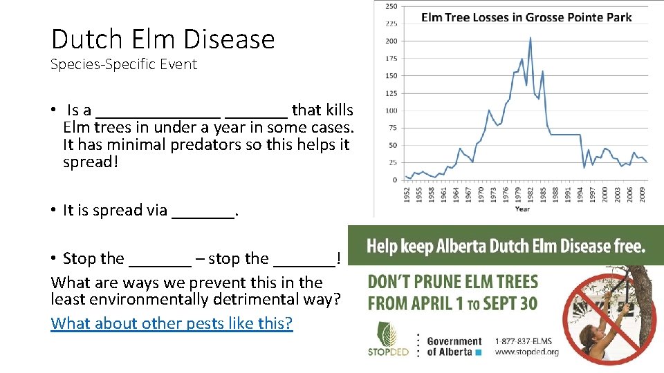 Dutch Elm Disease Species-Specific Event • Is a _______ that kills Elm trees in