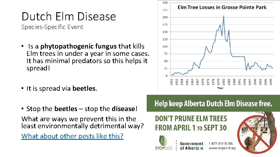 Dutch Elm Disease Species-Specific Event • Is a phytopathogenic fungus that kills Elm trees