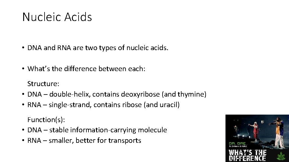 Nucleic Acids • DNA and RNA are two types of nucleic acids. • What’s