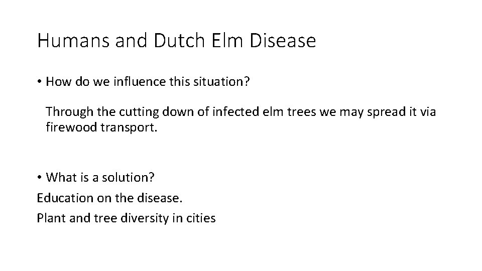 Humans and Dutch Elm Disease • How do we influence this situation? Through the