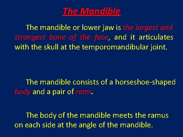 The Mandible The mandible or lower jaw is the largest and strongest bone of